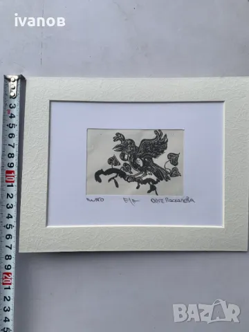 лито от Олга Паскалева