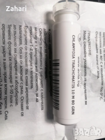 Chlamydia trachomatis 10 M 80 GRN