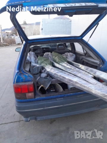 Пауловния фиданки , снимка 2 - Градински цветя и растения - 51841534