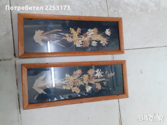 Пано хербарий в рамка лот, снимка 1