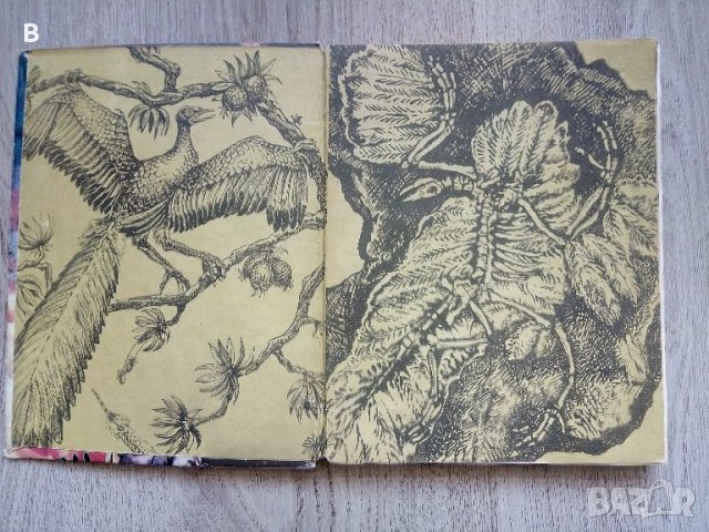 Изчезналият свят - Йозеф Аугуста, снимка 2 - Други - 40982004