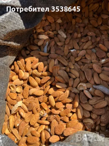 Български: лимец и брашно 5 лв, лен 5 лв, бадеми 21 лв; киноа бяла 10 лв, зелена елда 6 лв , снимка 10 - Домашни продукти - 38577719