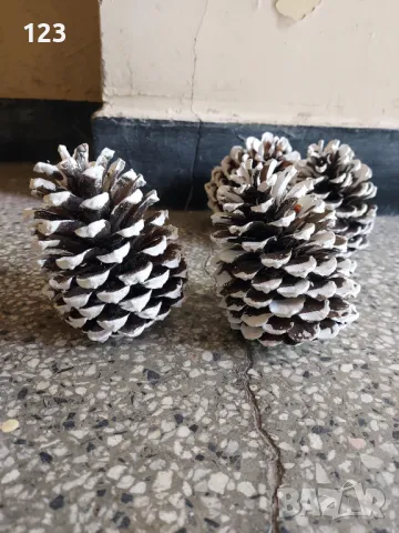 Шишарки за декорация , снимка 3 - Декорация за дома - 50358403