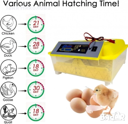 Напълно автоматичен инкубатор за 48 яйца 80W YZ8-48 , снимка 5 - Други машини и части - 50942330