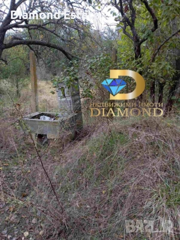 Двуетажна къща в село Лешниково, общ. Харманли, снимка 12 - Къщи - 52071481