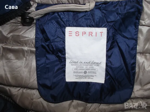 Елек ESPRIT  дамски,С