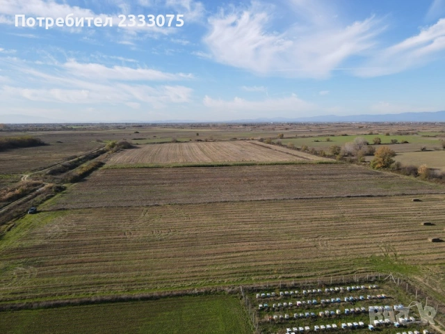 Продавам 24,860 дка земя в землището на с. Крислово, обл. Пловдив, снимка 8 - Земеделска земя - 53530333