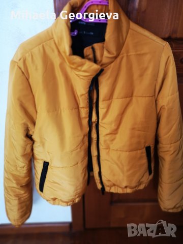 Яке цвят горчица