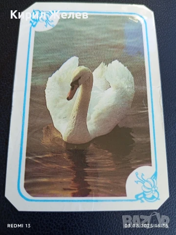 Старо календарче СССР ЛЕБЕД много красиво за КОЛЕКЦИЯ ДЕКОРАЦИЯ 49354