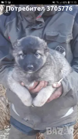 Кангалчета, снимка 1