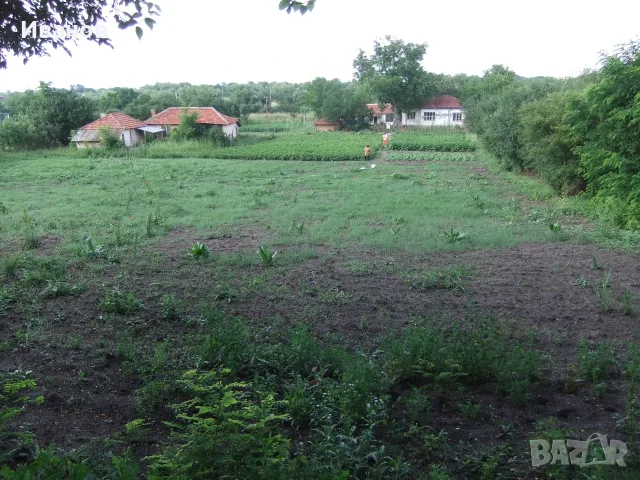 Къща , Стара Загора , село Пъстрен , снимка 3 - Къщи - 55828668
