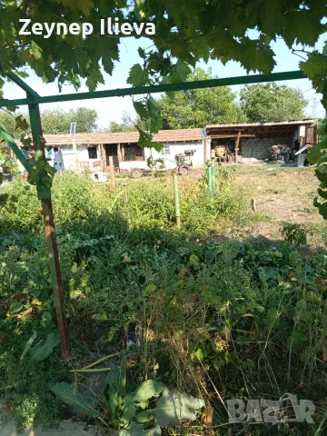Здравей те продавам къща в село Борисово област Русе има ток вода три стаи подземна кухня маза , снимка 2 - Къщи - 55725059