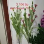 цветя за декорация и украса , снимка 12