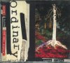 Duran Duran- Ordinary World, снимка 1 - CD дискове - 34745801