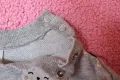 Сив комплект на котенца H&M, размер 74/6-9м, снимка 3
