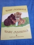 "BABY ANIMALS", снимка 1