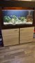 Продавам аквариум с цихлиди Мбуна, снимка 3