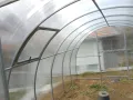 Оранжерий с покритие поликарбонат , снимка 6