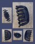 Класическа силиконова щипка за коса в син цвят
