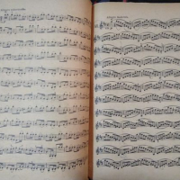 60 Etüden für die Violine. Op. 45 Franz Wohlfahrt 1929 г., снимка 2 - Други - 36291914