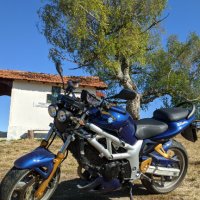 Suzuki SV 650, снимка 1 - Мотоциклети и мототехника - 41260959