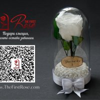 Вечна Роза в Стъкленица / Незабравим Подарък за Годишнина или Сватба / Естествена Бяла Вечна Роза, снимка 4 - Други - 34470723