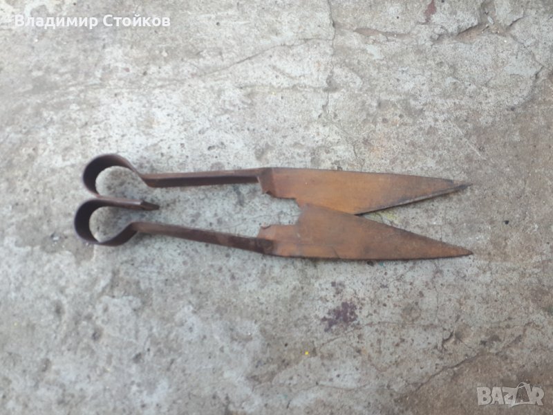 Стара ножица за стригане на овце, снимка 1