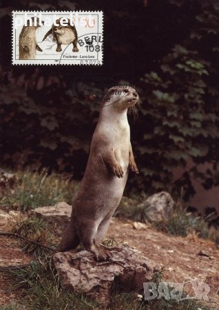 Германска демократична република 1987 - 4 бр. Карти Максимум, снимка 1