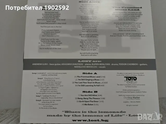 Lost-  Lost in Blues, снимка 2 - Грамофонни плочи - 48456229