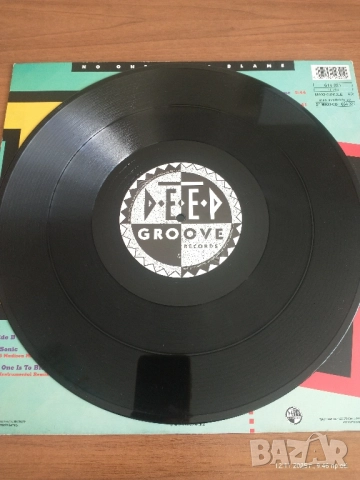 Две оригинални грамофонни плочи , снимка 13 - Грамофонни плочи - 52385772