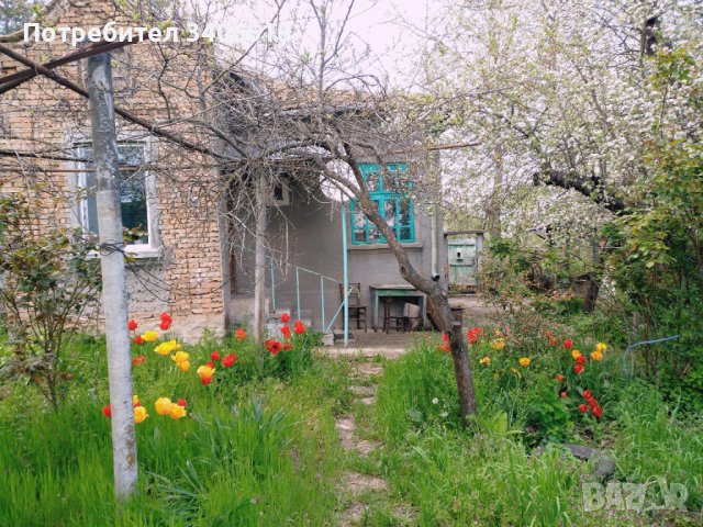 Къща в с. Славяново, област Търговище, снимка 3 - Къщи - 41311283