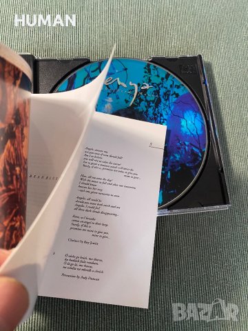 Bonnie Tyler - Enya - Clannad, снимка 8 - CD дискове - 42087685