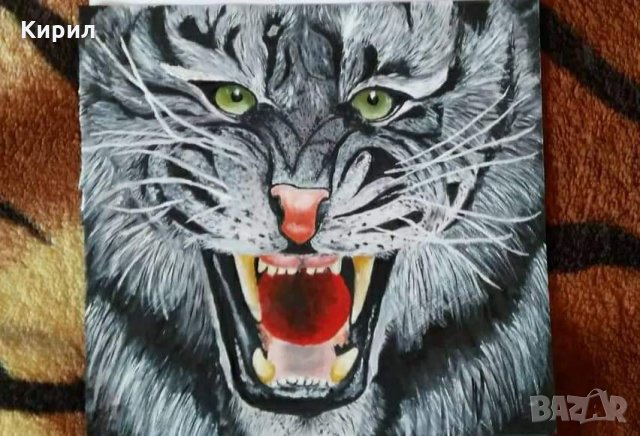 Картини рисувани, снимка 9 - Картини - 35973908