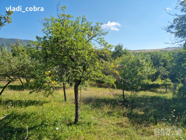 Два имота в село Горна Козница , снимка 17 - Парцели - 38346853