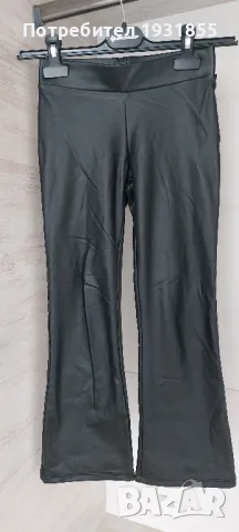 Кожен Чарлстоун "TERRANOVA"