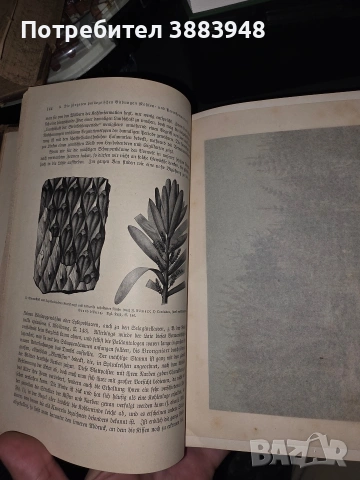 История на Земята Erdgeschichte от Мелхиор Ноймайер 1895