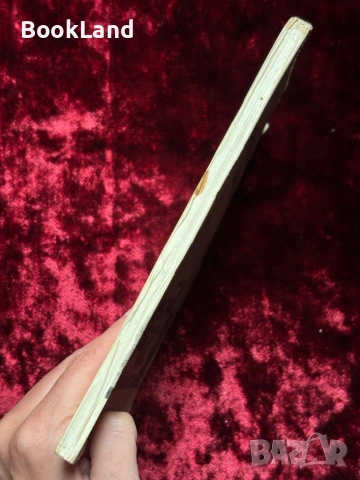 Видинските кметове | Генади Вълчев , снимка 2 - Други - 53863227