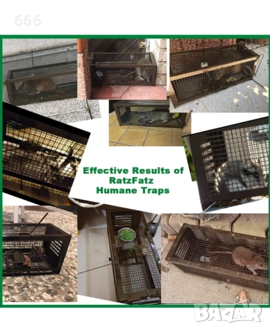 Капан за мишки, снимка 4 - Други стоки за дома - 53307668