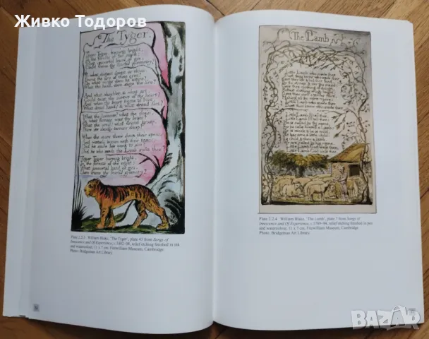 Arts Past and Present - Illustration Book 70+ илюстрации на Cezanne,Picasso,Matisse,Blake, снимка 10 - Енциклопедии, справочници - 48335302