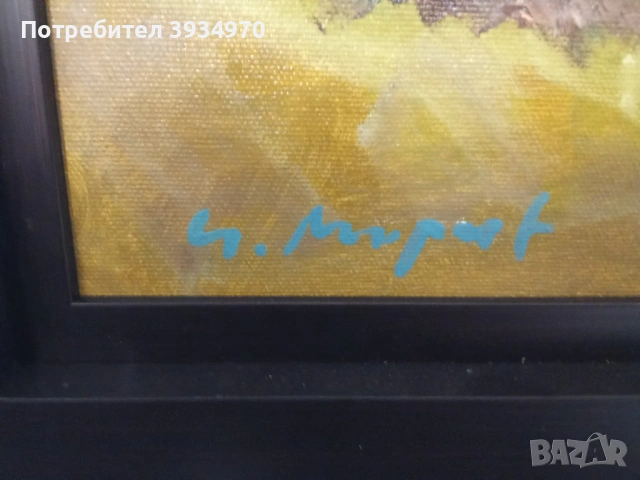 Картина Ивайло Мирчев, снимка 5 - Картини - 53088300