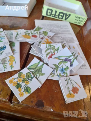 Старо Лото Цветя, снимка 5 - Други ценни предмети - 48549486