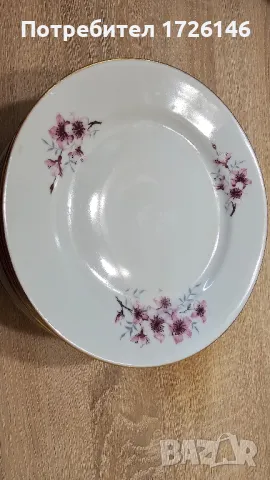 Порцеланови чинии ябълков цвят със златен кант на Китка 