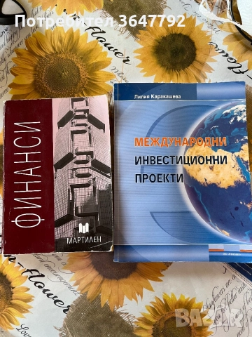 Учебник по финанси Мартилен и Международни инвестиционни проекти, снимка 1