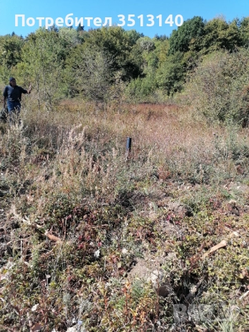 Парцел с. Панчарево, София, снимка 14 - Парцели - 51669556