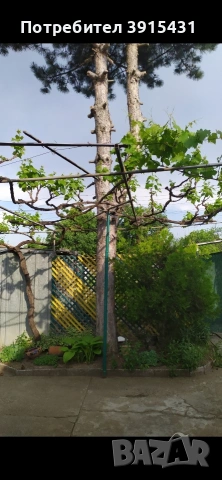 Продавам къща в с. Бяла река, общ. Първомай, обл. Пловдив, снимка 7 - Къщи - 53439741