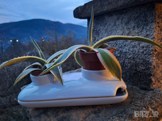 Sagaform керамична поставка за саксийки двойна с подложна чинийка, снимка 13 - Стайни растения - 53375113