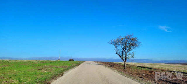 Къща с голям двор, пещ и допълнителни постройки – отлична цена!, снимка 17 - Къщи - 52416813