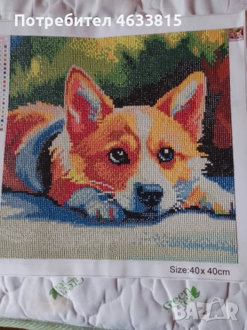 Диамантени Гоблени наредени , снимка 4 - Гоблени - 52497258