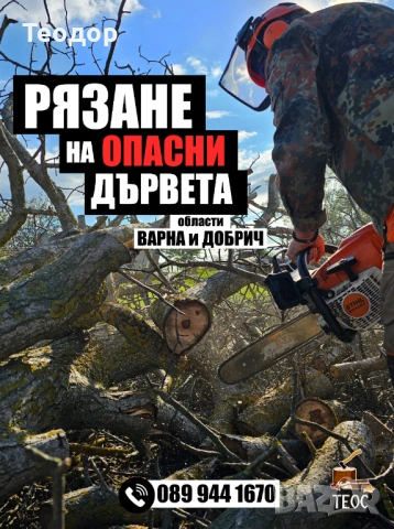 Рязане на опасни дървета и почистване на дворове – Варна, снимка 10 - Хамалски услуги - 53670302