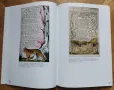 Arts Past and Present - Illustration Book 70+ илюстрации на Cezanne,Picasso,Matisse,Blake, снимка 10